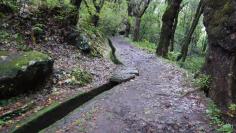 Levada de Serra do Furado