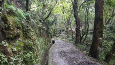 Levada do Serra do Furado