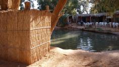 Source d'eau chaude à Ksar Ghilane