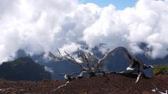 Vue au sommet du Pico Ruivo